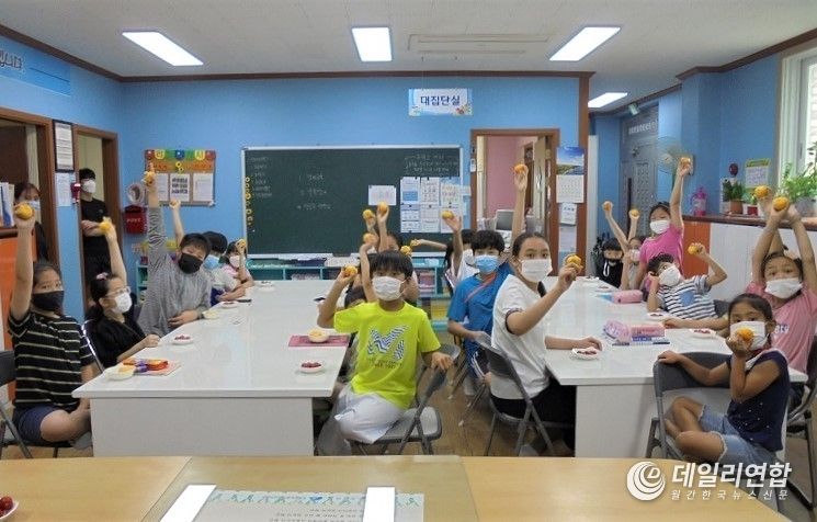 사진=화순군, 건강 과일바구니 사업 추진