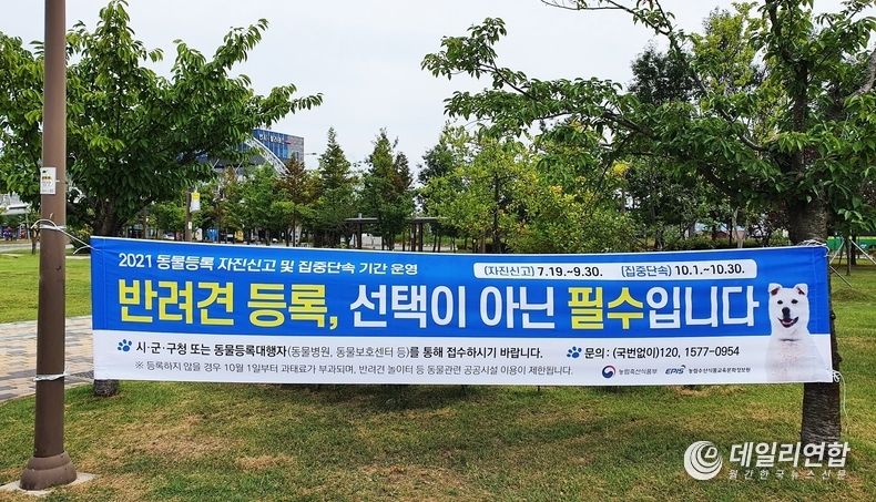 사진=반려동물 등록제 자진신고기간 운영