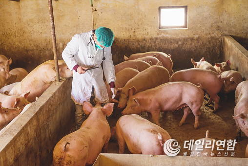 사진=pixabay