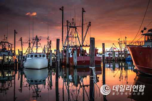 사진=pixabay