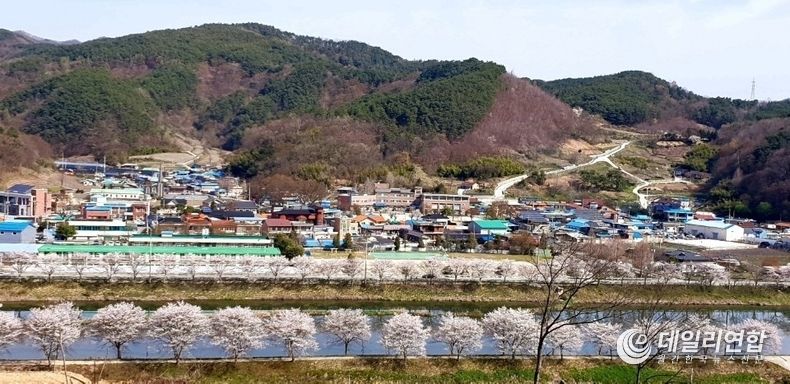 쌍치면 추령천의 봄