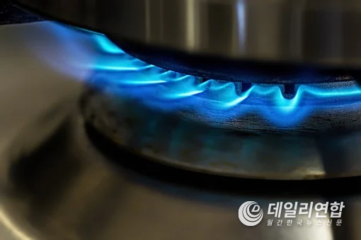사진=pixabay