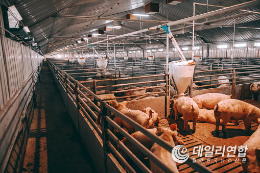 사진=pixabay