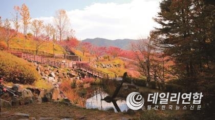 사진=장수 뜬봉샘 생태길