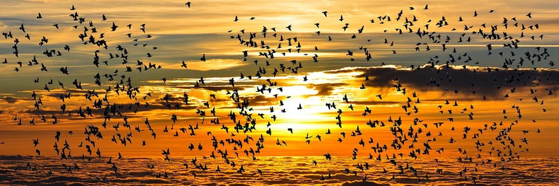 사진=pixabay
