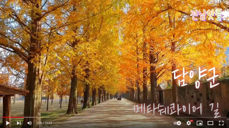 사진제공=전라남도청