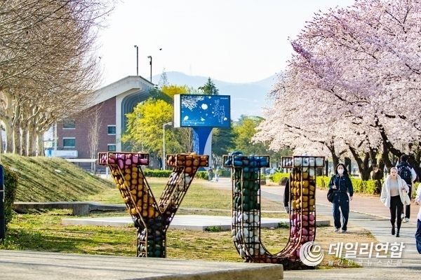 '2023년 영남대학교 벚꽃 축제' 풍경.