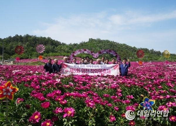 화남면 삼창리 '작약밭' 