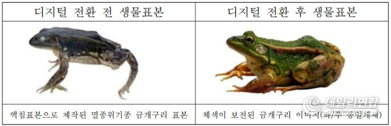 생물표본의 디지털 전환. /사진=환경부 