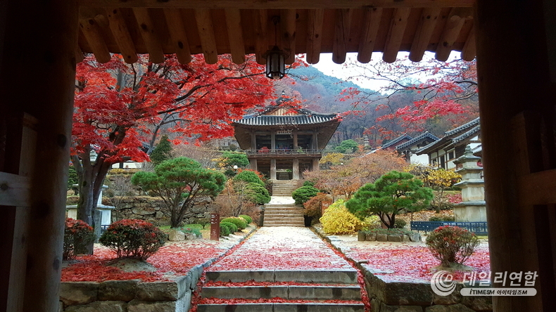 영주 부석사 안양루 가을 전경.