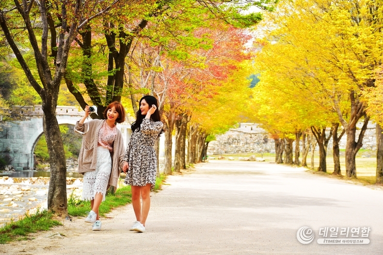 '문경새재'