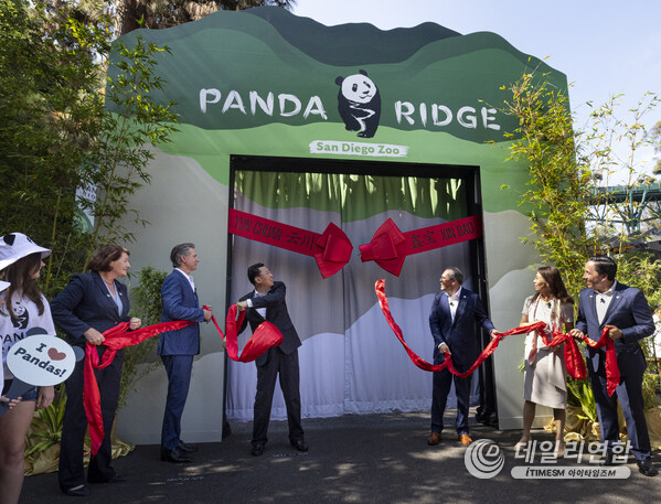From left to right: Ceremony attendee, Toni G. Atkins, California state senator; Gavin Newsom, governor of California; His Excellency Xie Feng, Chinese ambassador to the United States; Paul Baribault, president and CEO of San Diego Zoo Wildlife Alliance; Si Ping, deputy secretary general of China Wildlife Conservation Association; and Todd Gloria, mayor of San Diego at Panda Ridge ribbon ceremony at San Diego Zoo. From left to right: Ceremony attendee, Toni G. Atkins, California state senator; Gavin Newsom, governor of California; His Excellency Xie Feng, Chinese ambassador to the United States; Paul Baribault, president and CEO of San Diego Zoo Wildlife Alliance; Si Ping, deputy secretary general of China Wildlife Conservation Association; and Todd Gloria, mayor of San Diego at Panda Ridge ribbon ceremony at San Diego Zoo.
