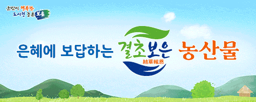 배너