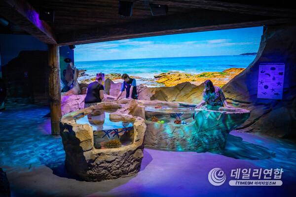 New Rockpool at SEA LIFE Sydney Aquarium