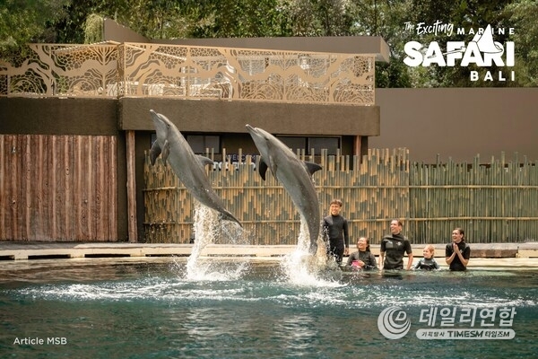 Marine Safari Bali: Adventure & Unforgettable Experiences