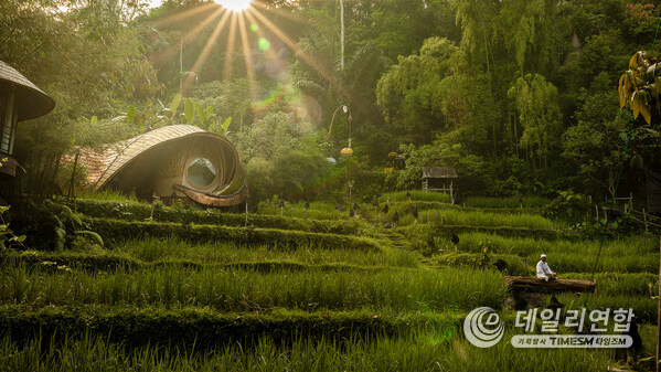 Surrounded by sweeping rice fields and overlooking a gentle river, the New Moon House embodies the essence of bamboo living, open, organic, and intimately connected to Bali’s timeless landscape.