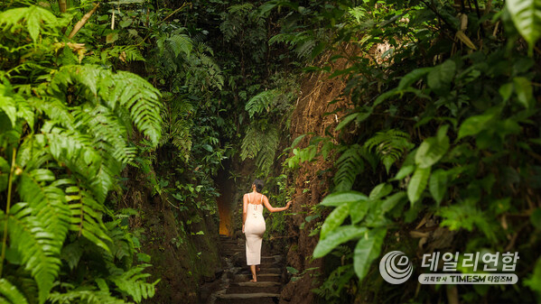 At Bambu Indah, adventure unfolds in its purest form, raw nature, untouched beauty, and immersive experiences that celebrate the spirit of the land.