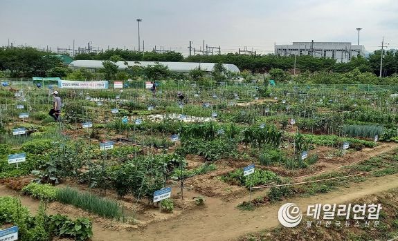 수성구가 운영하는 공영도시농업농장 전경