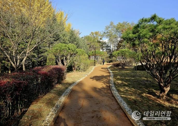 탄현공원 자연 흙길 및 산책로