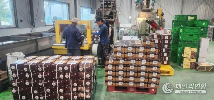 공주시 특산물 ‘공주알밤’ 베트남 첫 수출길 올라