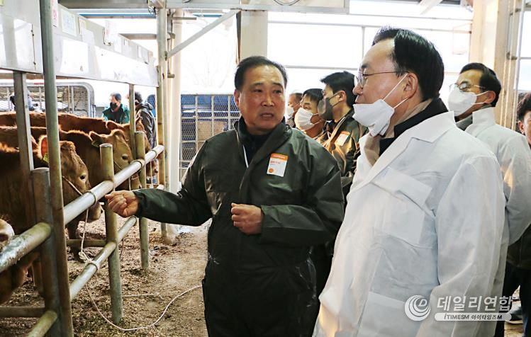 나주시, 60두 이하 한우농가 사료비 최대 54만원 지원