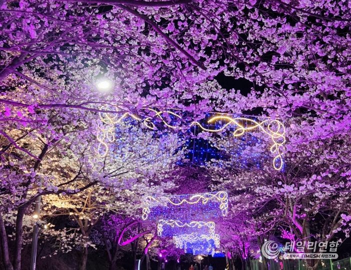 제3회 고창벚꽃축제(기다렸나, 봄)’ 4월4일 개막