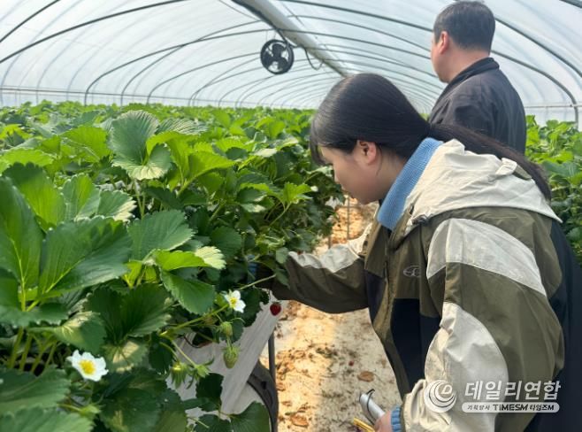 함평군 농업기술센터 영농기술지원단 현장 방문 및 지도 사진