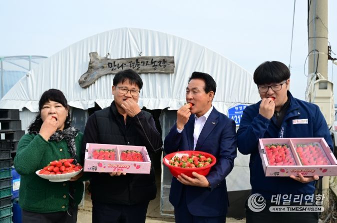 딸기 품종 혁신, ‘조이베리’로 문 열다