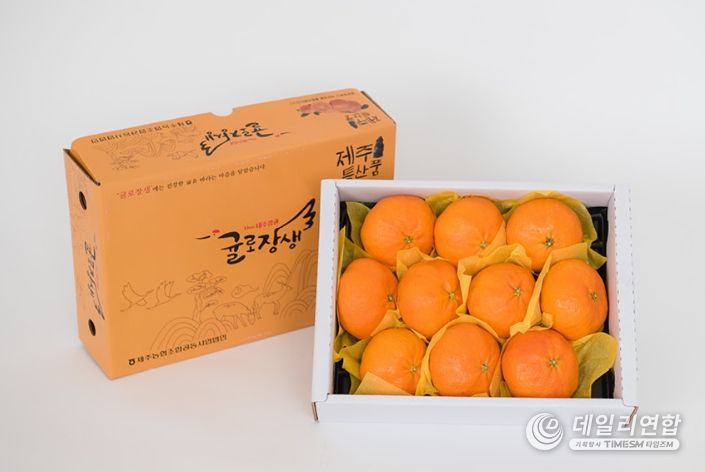 제주시 만감류 설 선물세트