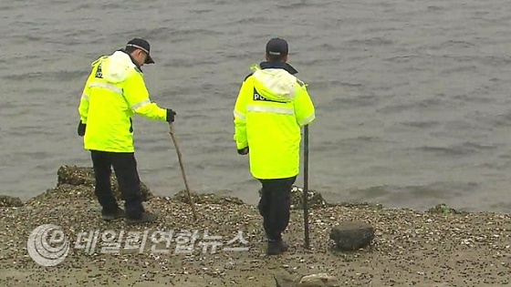 SBS 뉴스