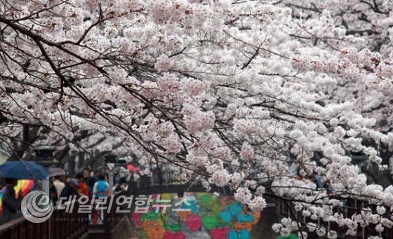 MBC 뉴스