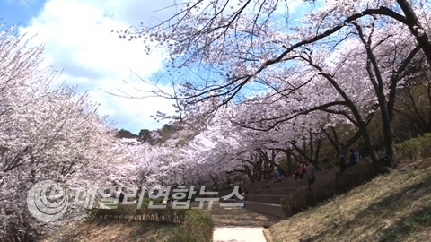 YTN 뉴스