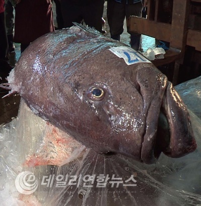SBS 뉴스