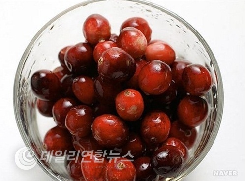 사진 : 네이버 제공