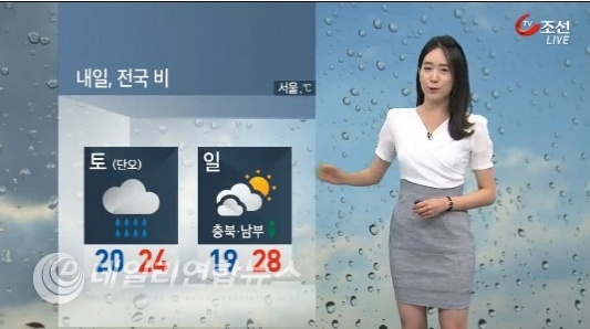 사진 : TV 조선 방송화면 캡쳐