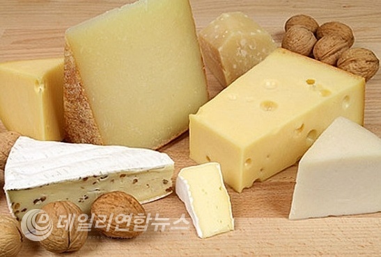 사진 : 스위스치즈협회 홈페이지 캡쳐