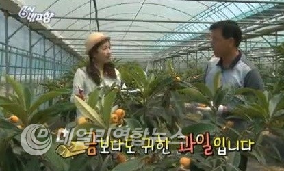 비파체험장 비파관련방송 화면캪춰
