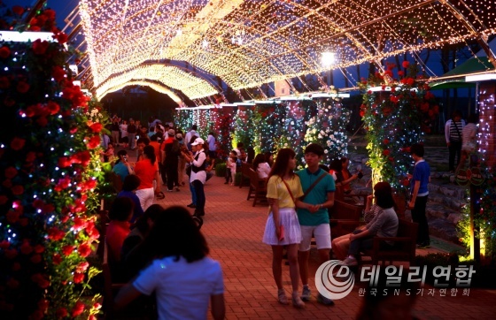 곡성세계장미축제 사진제공