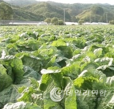 사진출처:방송캡쳐